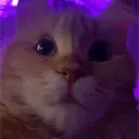 xvskye