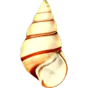 ahnfelt