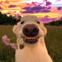 kaworu1859#6893's avatar