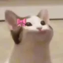 shelbutt