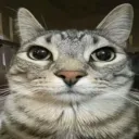 mrdonphan