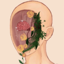 avatar ꧁☆Jidammy ☆꧂