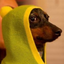 touchofpain#2160's avatar