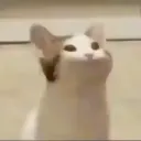 ridykulous