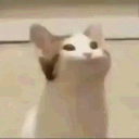 ridykulous