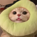 Discord Avatar