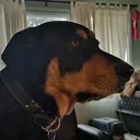 zaganbrx
