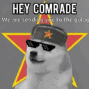 tswizzle5031's Avatar