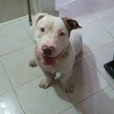 nowcrex#0355's avatar