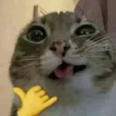anana.anana