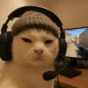 jarnerk