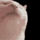 leo_1042
