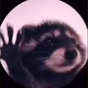 bypandadev