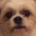 multisig