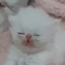 kiirozu
