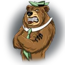 yougidoggybear