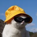 serenevenkiy