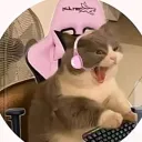 sighcodelics