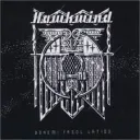 hawkwind.