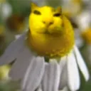 dafman