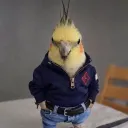 zelix.