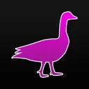 purple_goose
