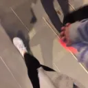 driftyz700