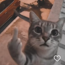 renn._.#5511's avatar