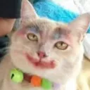 le_bite