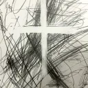 _orcinus