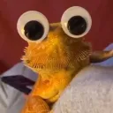 boopshadoop
