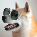 doshidev