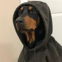 lambzey