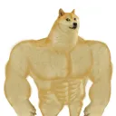 mushdog avatar