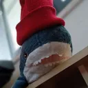 8434