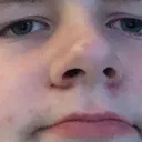 bigwesters