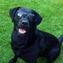 galster#6571's avatar