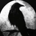 dark.crow