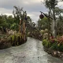 dacostabro