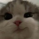 hermbit_