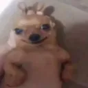 ferf0