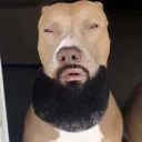 hntrms99