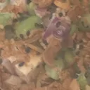 alekii