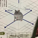 yossarians