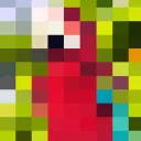 parrot505