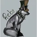 rebs4595