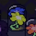 sisterbloomers