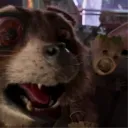 randodude
