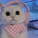 avatar 𝓁𝑜𝓋𝑒𝓁𝓎