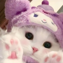 avatar 𝓁𝑜𝓋𝑒𝓁𝓎